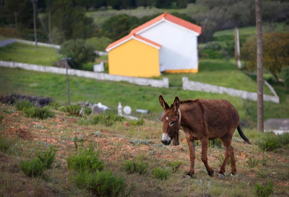 Casa Amado, Aldeia da Pedralva Villa Vila do Bispo Eksteriør bilde