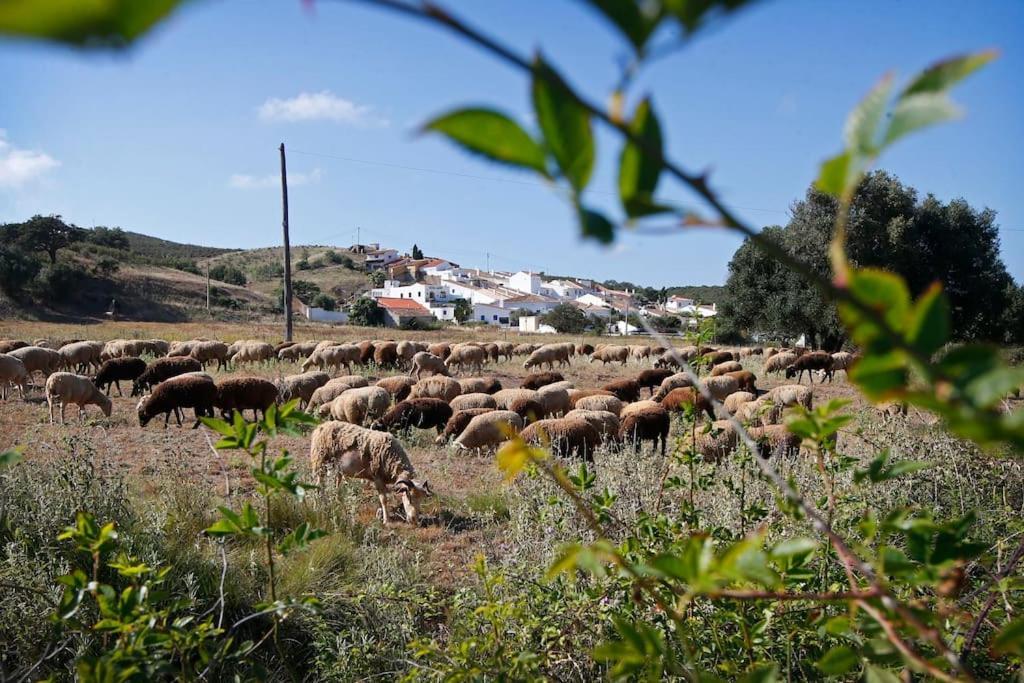 Casa Amado, Aldeia da Pedralva Villa Vila do Bispo Eksteriør bilde