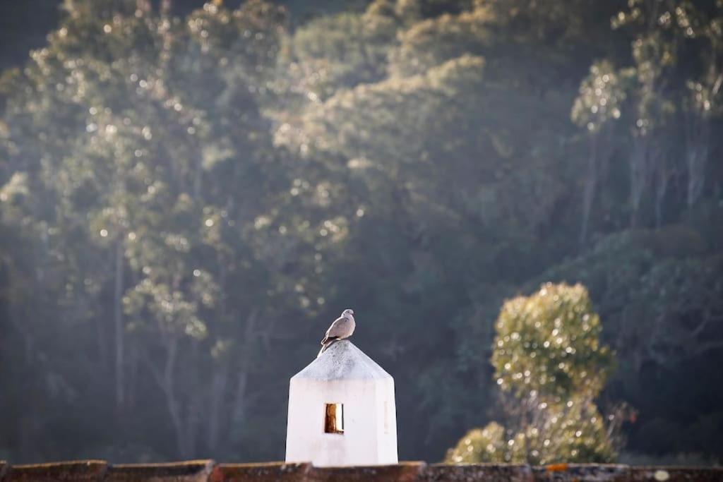 Casa Amado, Aldeia da Pedralva Villa Vila do Bispo Eksteriør bilde
